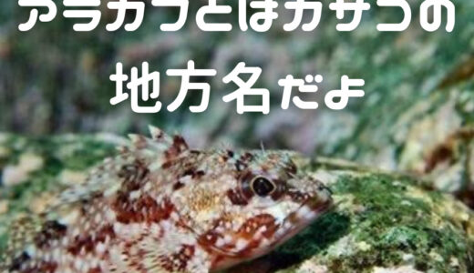 本ブログについて